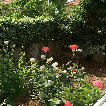 With Parking Space Orebic, Peljesac - 4526