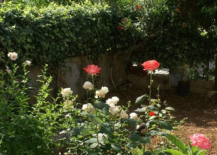 With Parking Space Orebic, Peljesac - 4526